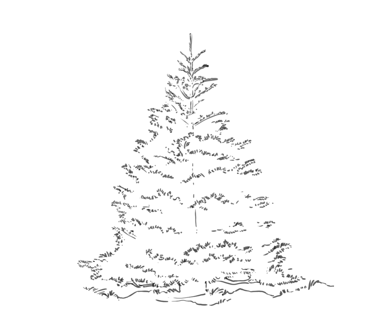 mettre au propre le dessin de sapin