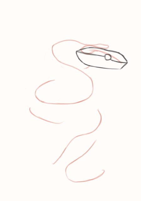 Dessin de l'oeil du serpent
