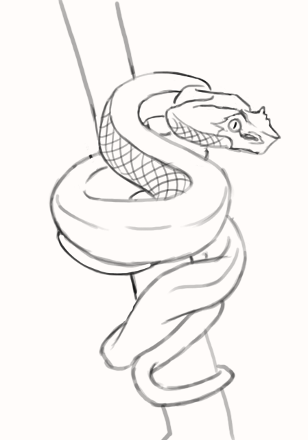 Détails des écailles du serpent