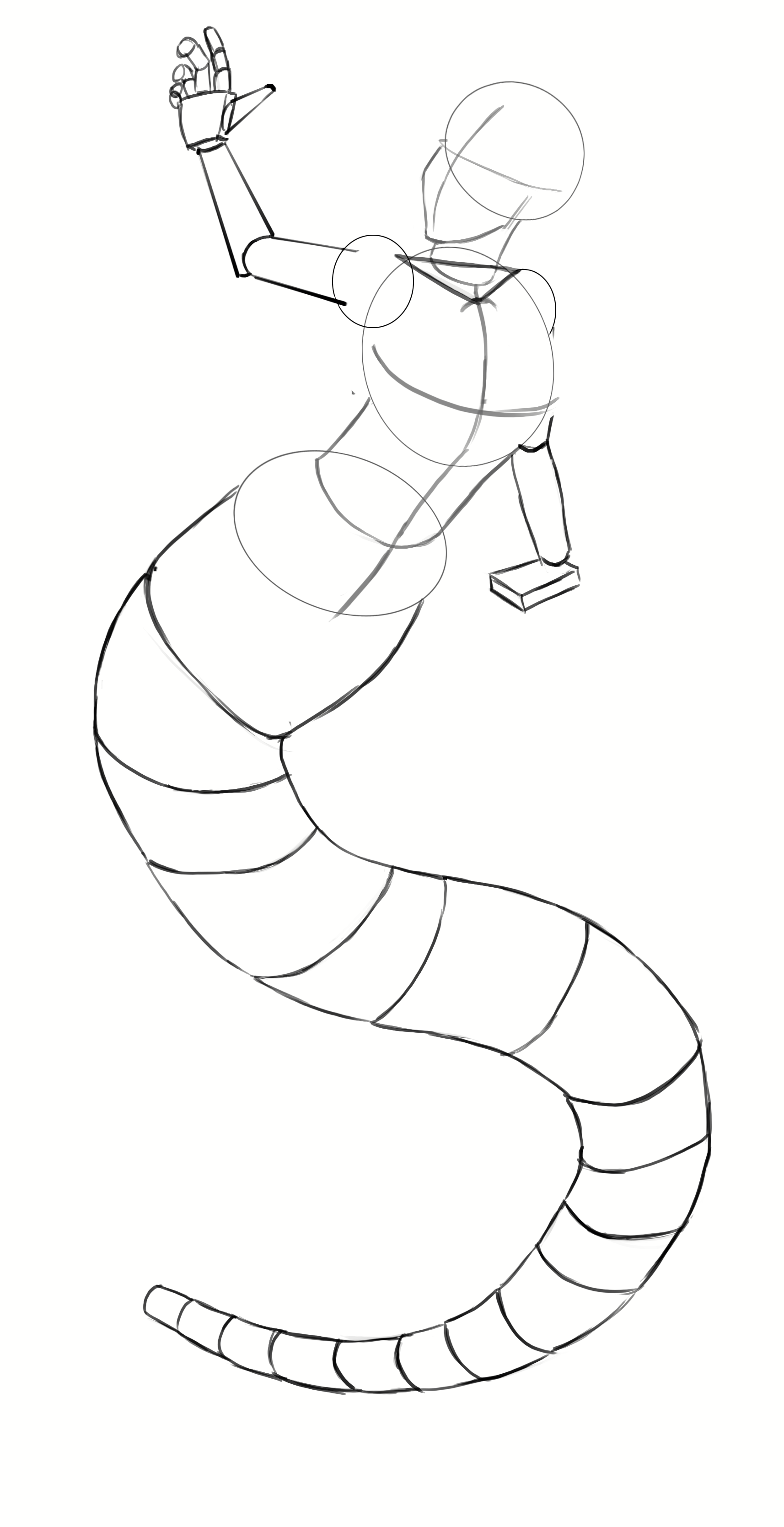 Dessiner le croquis de la queue de la sirène