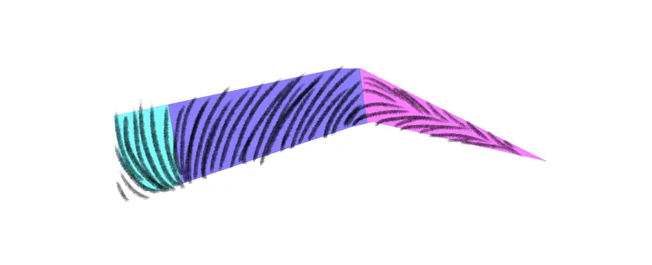 dessiner l’extrémité d’un sourcil 