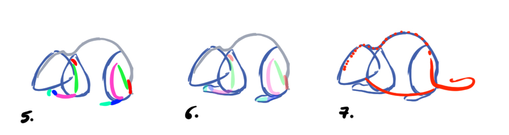 Dessiner les contours des pattes et de la queue de la souris