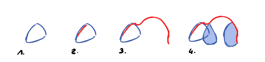 Dessiner les contours de la tête et du dos de la souris