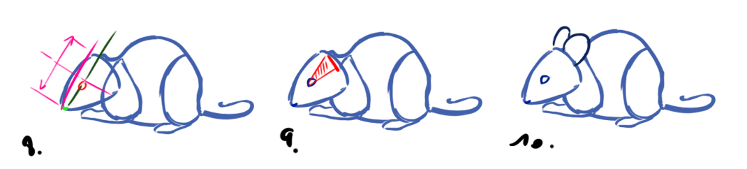 dessiner les oreilles de la souris