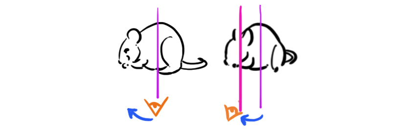 Choix de la position du modèle pour le dessin