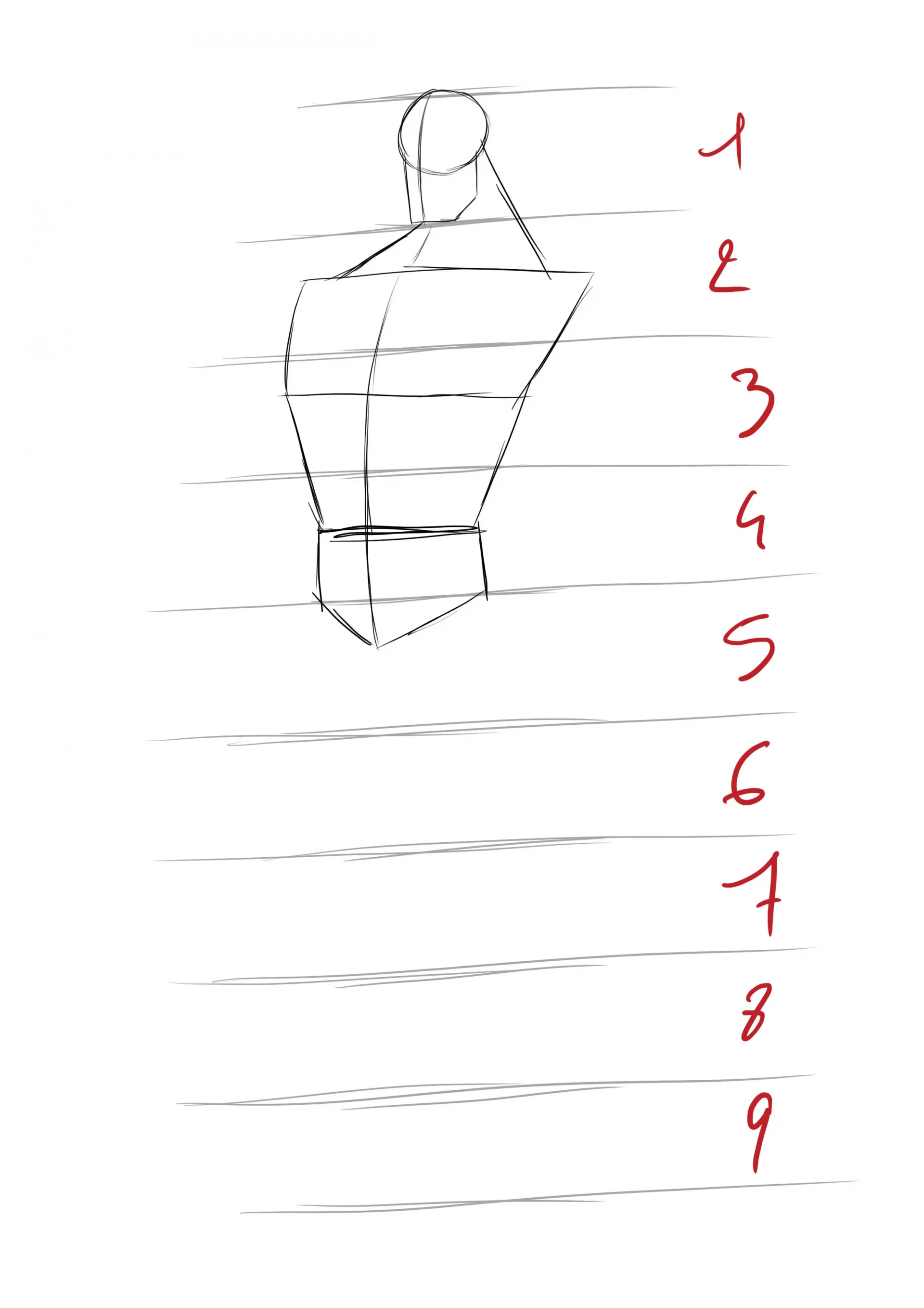 die Grundlage der Zeichnung mit dem Torso von Superman