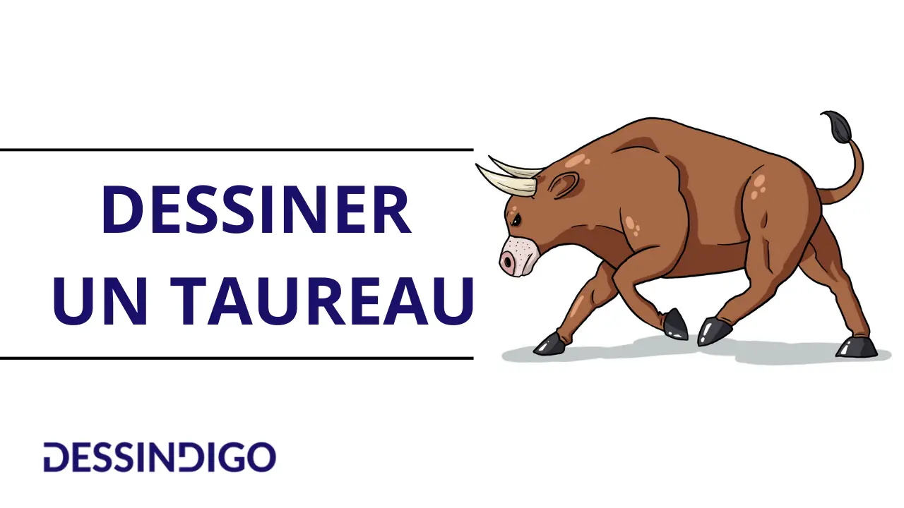 Comment dessiner un taureau