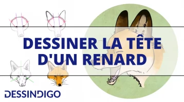 COMMENT DESSINER UNE TETE DE RENARD