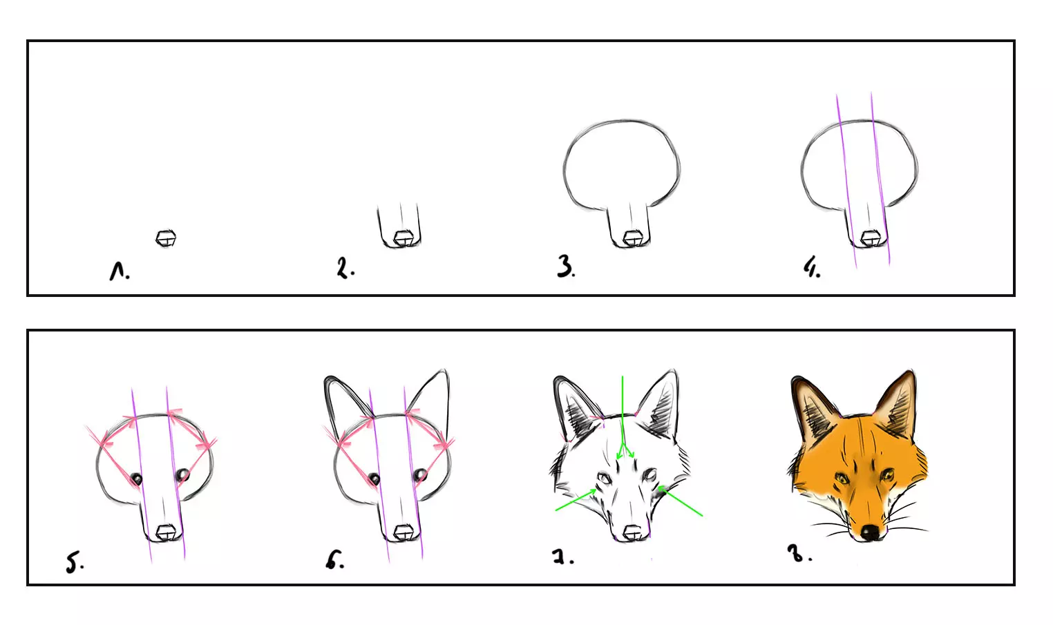 dessiner la tête d’un renard étape par étape