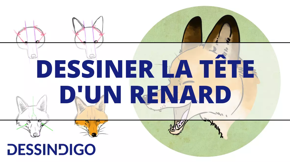 COMMENT DESSINER UNE TETE DE RENARD