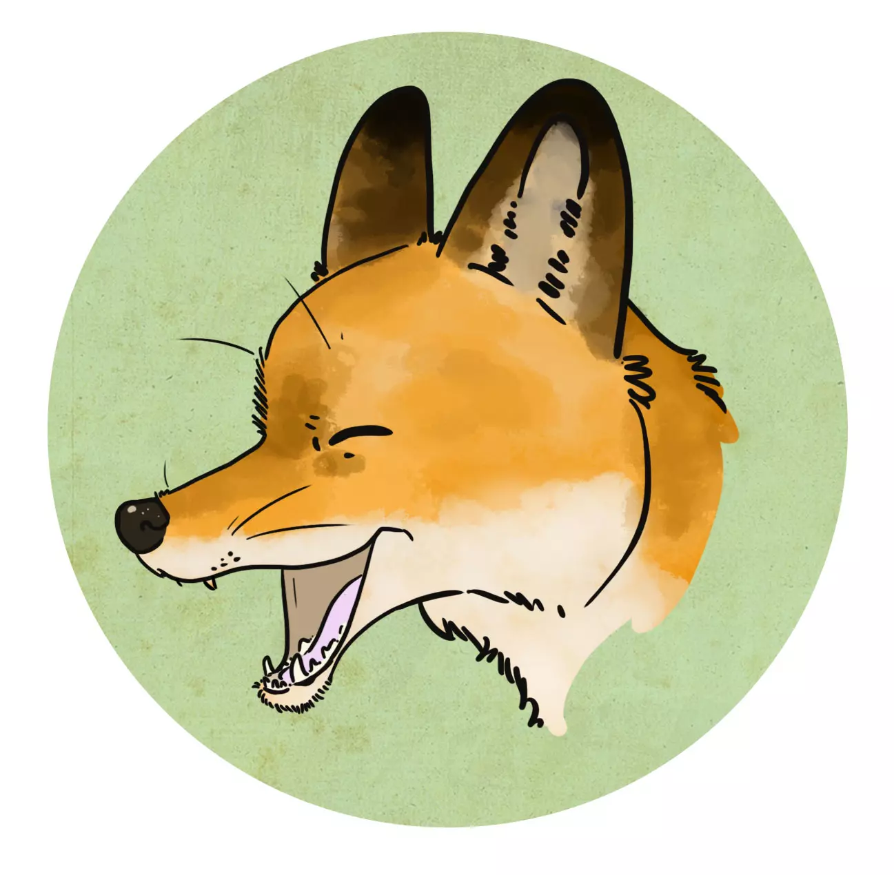 image de la tête d’un renard