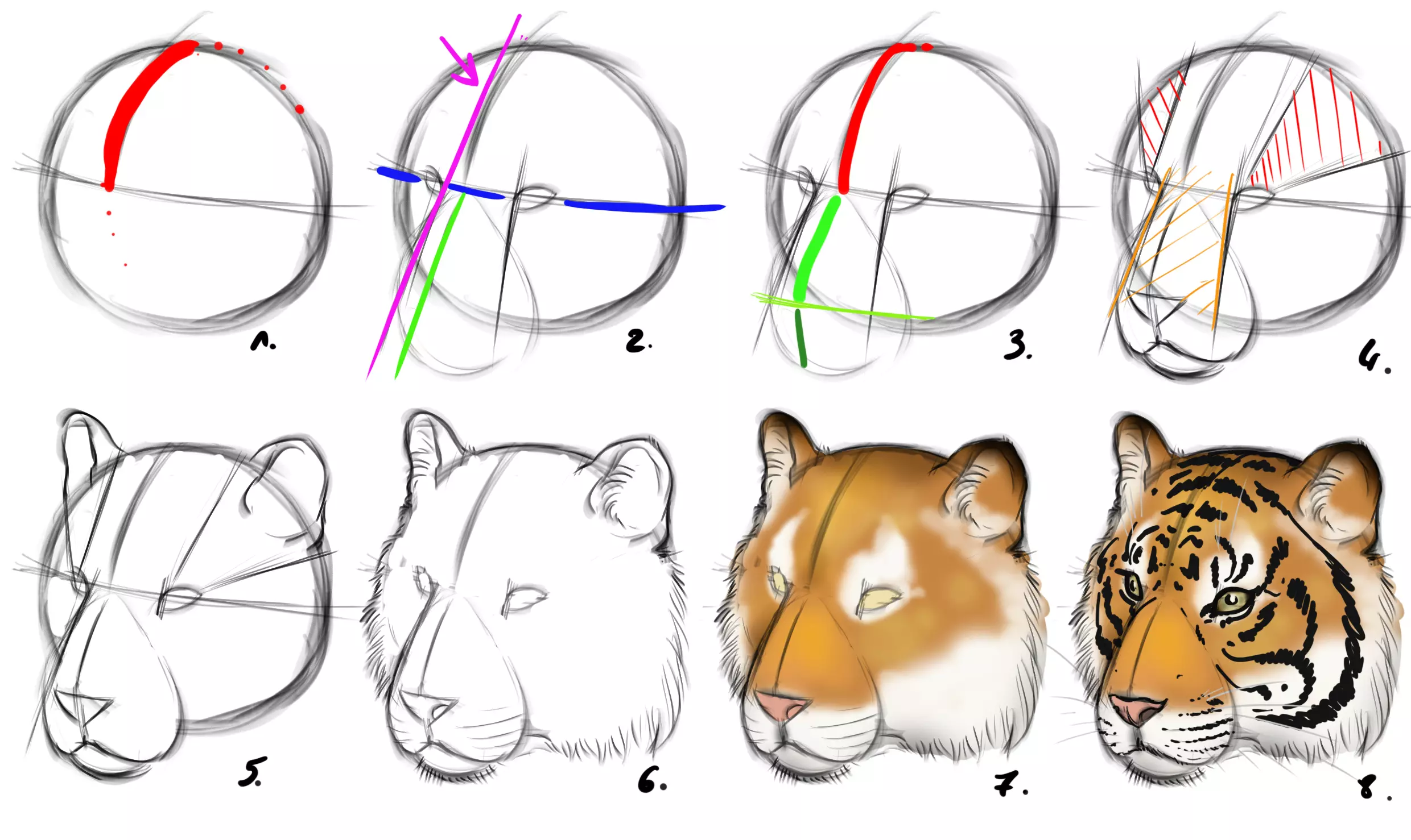 dessin de la tête d’un tigre