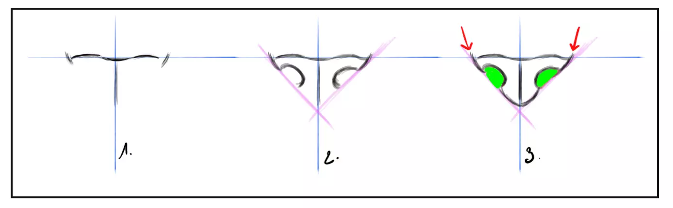 schéma de la construction de la truffe d’un tigre
