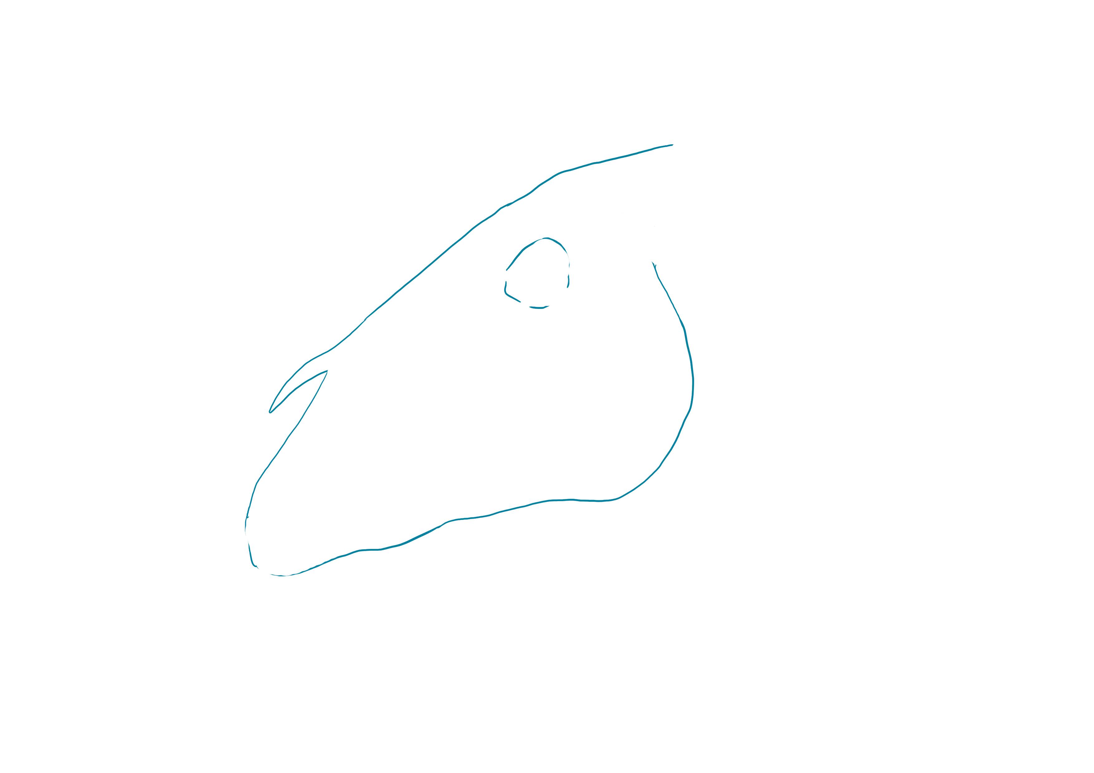 dessiner le crâne de cheval