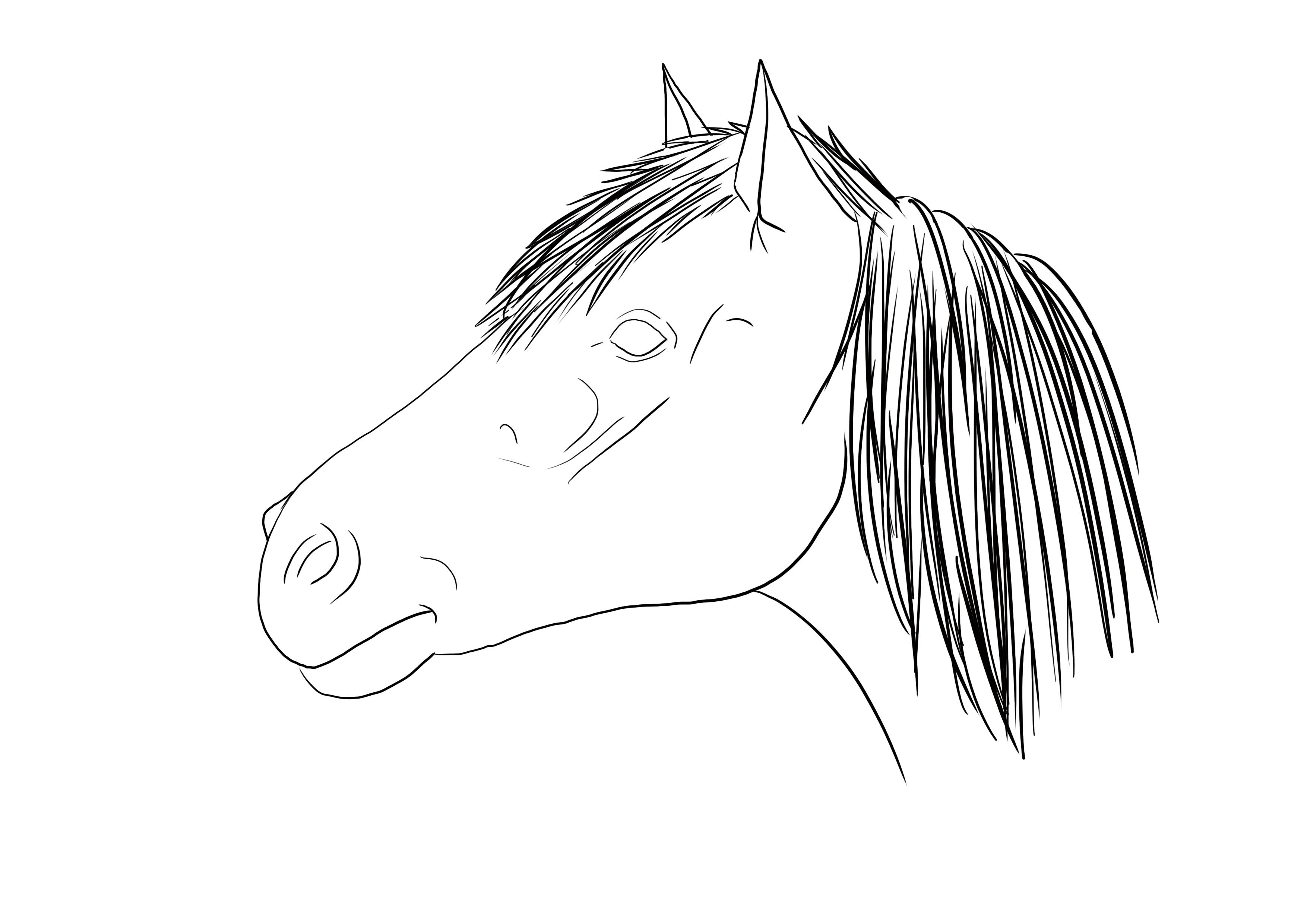 dessiner les poils de la crinière