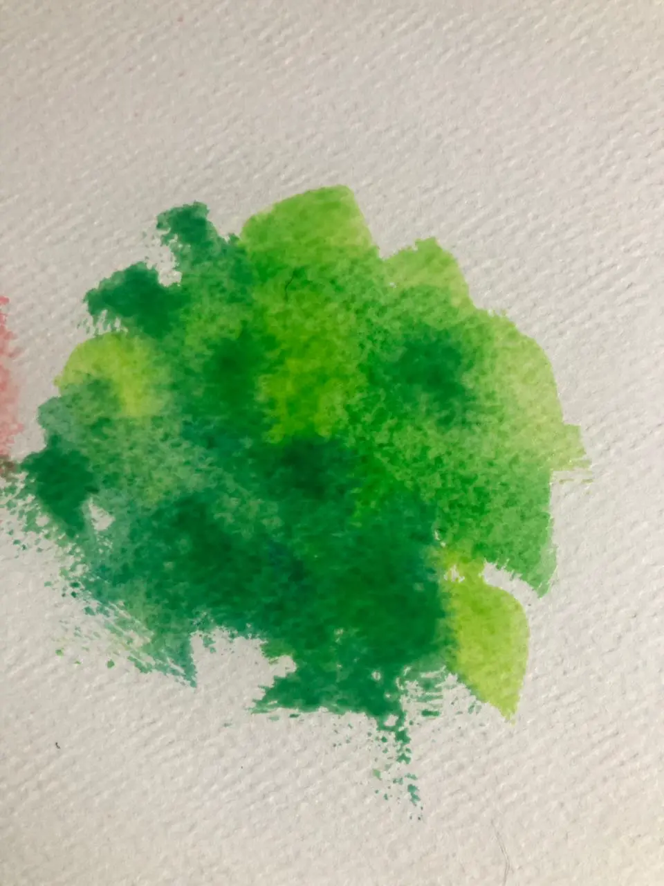 utiliser une éponge pour ajouter de la texture à l’aquarelle