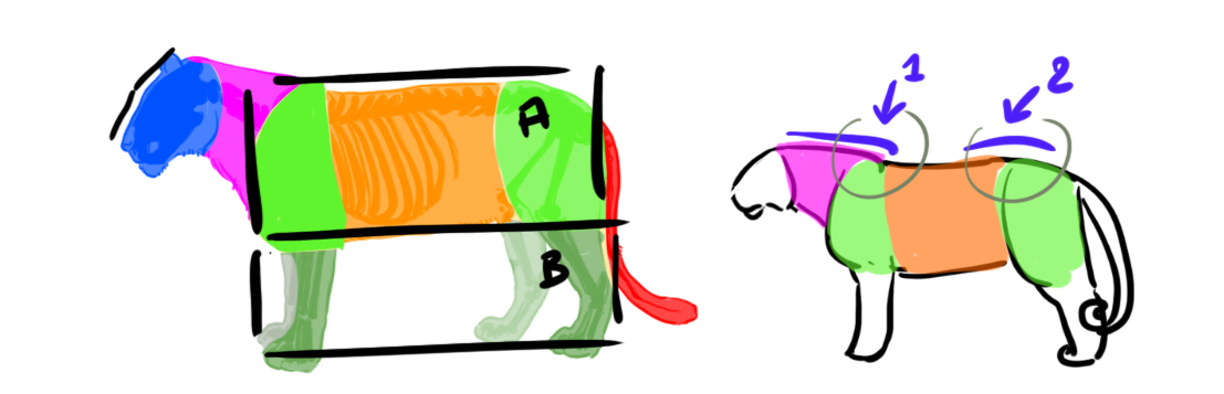 croquis de la silhouette du tigre