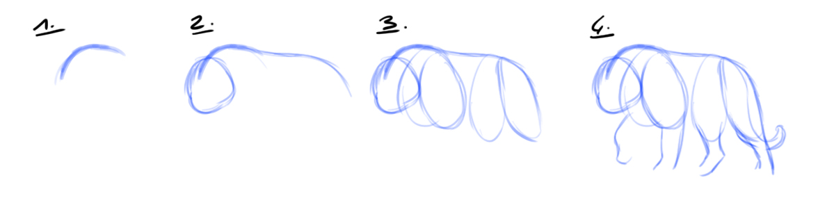 dessiner un tigre étape 1