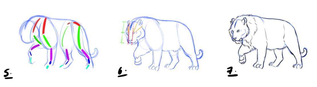 dessiner un tigre étape 2