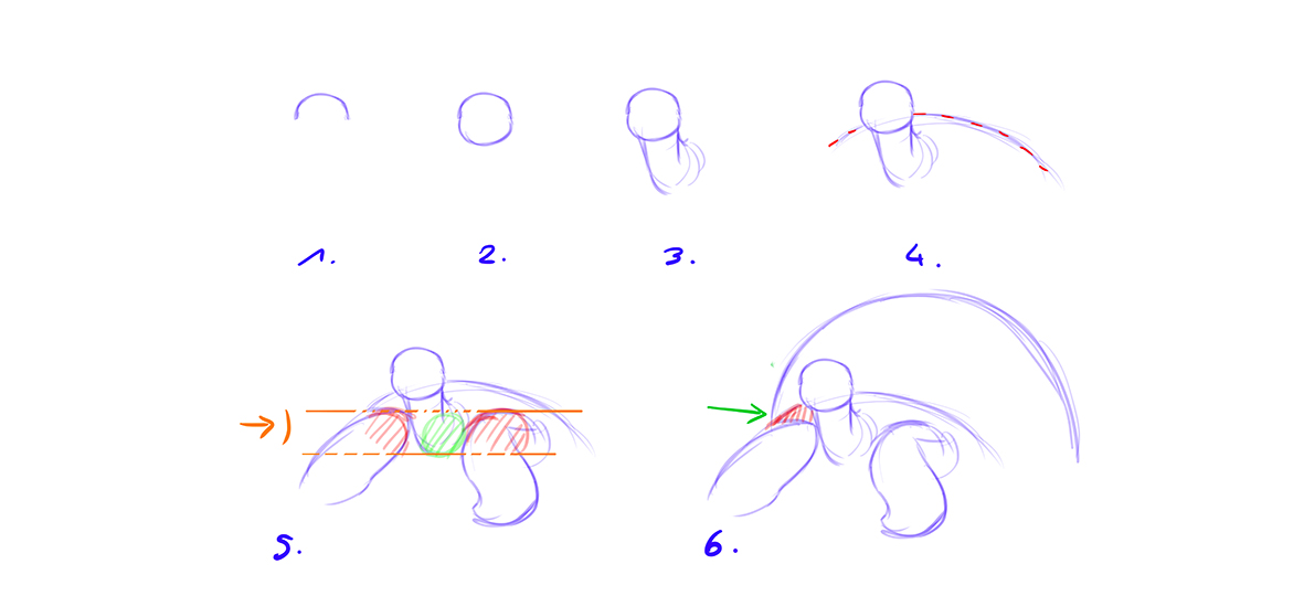 dessiner une tortue étape 1