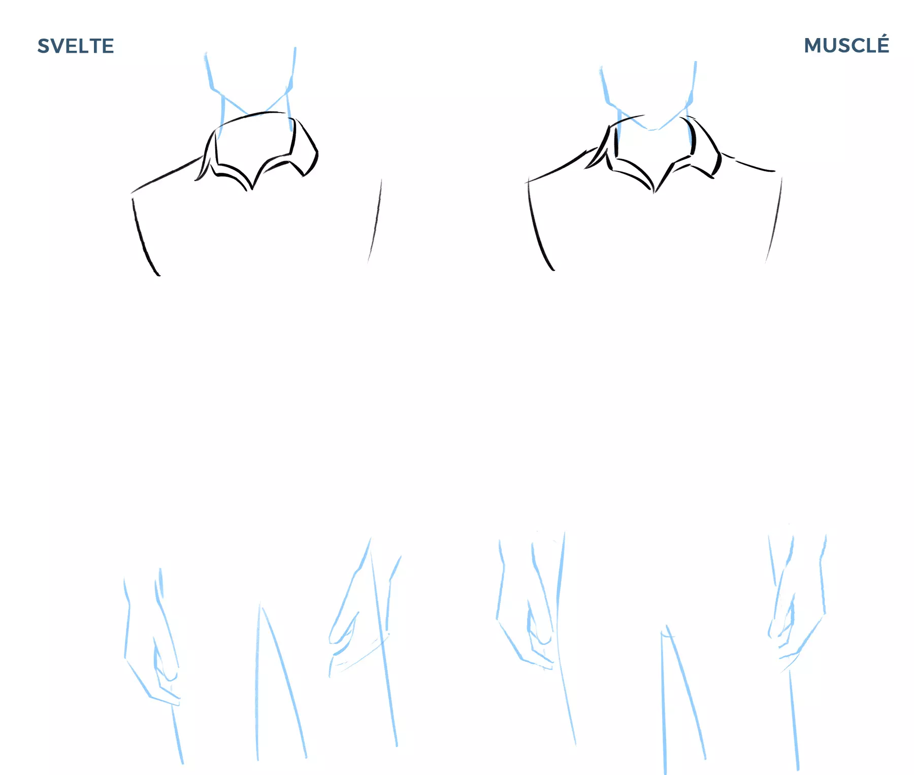 dessin du col d’une chemise