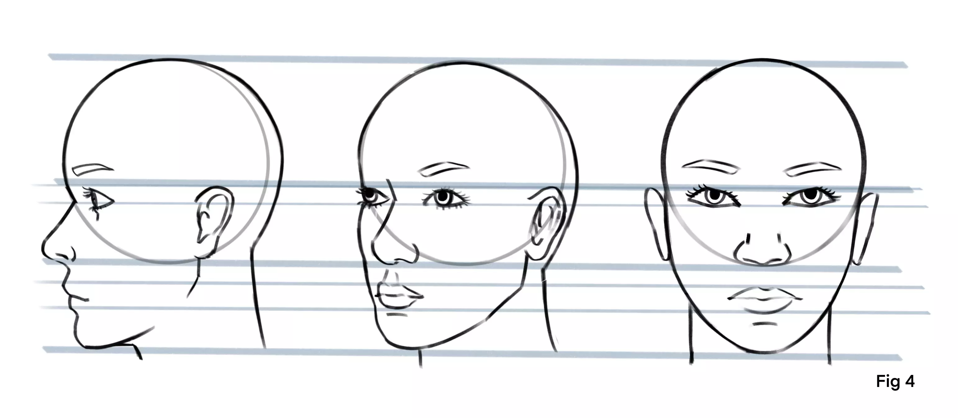 dessin d’un visage sous différents angles