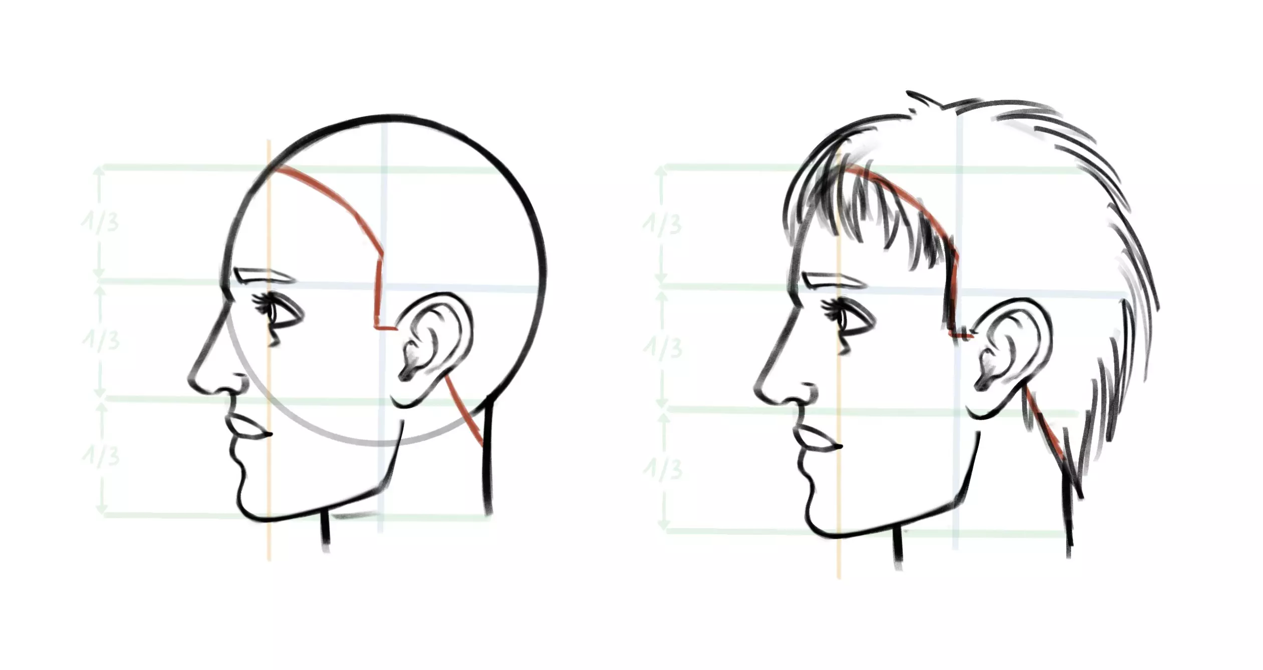 dessin des cheveux d’un visage de profil