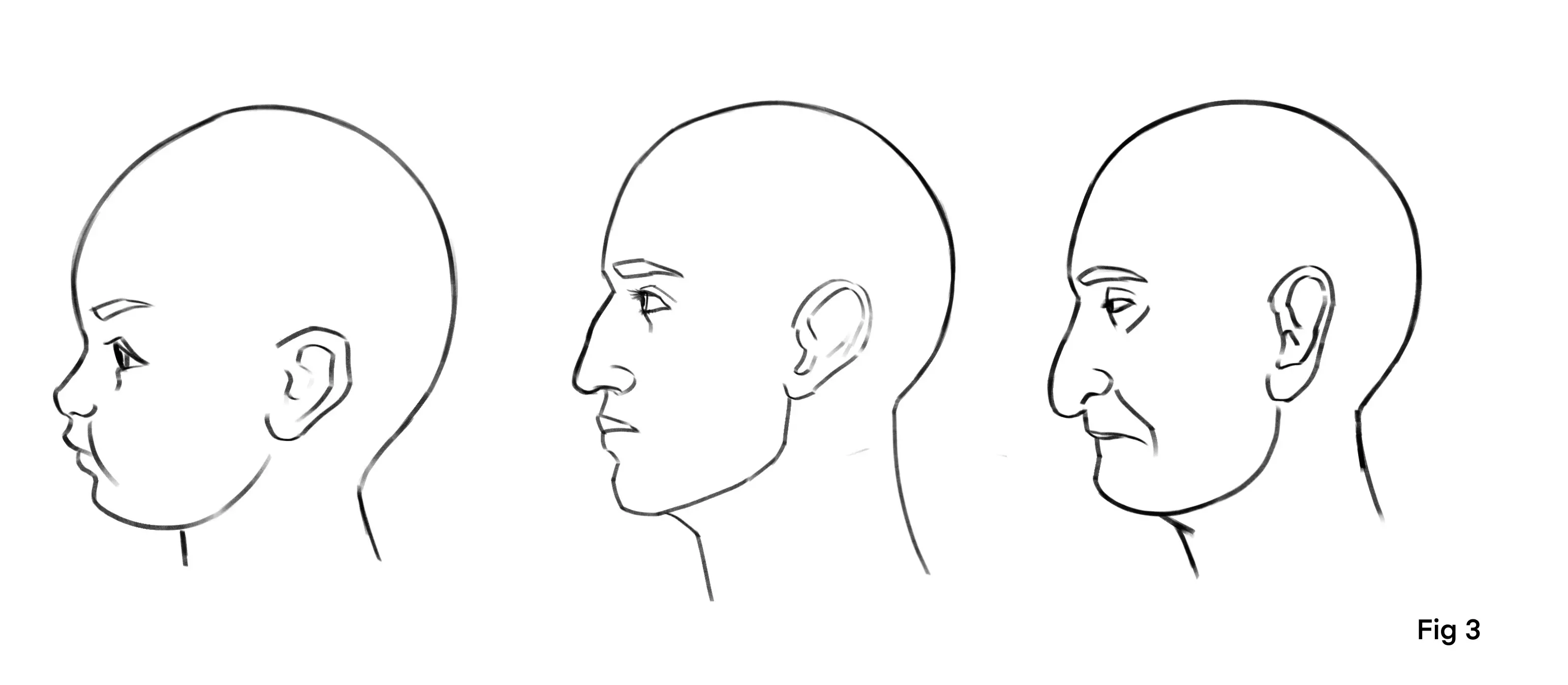 dessin du vieillissement d’un visage