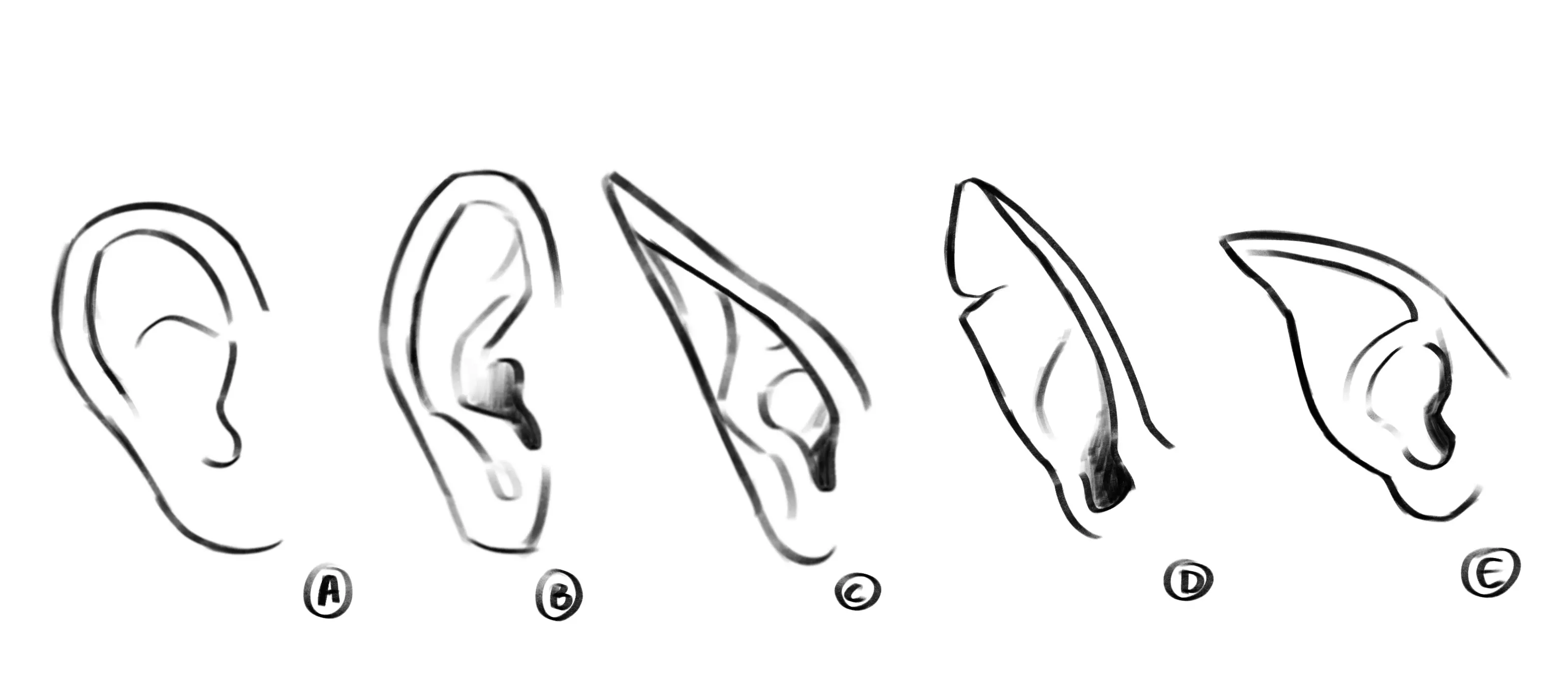 exemples de dessins d’une oreille