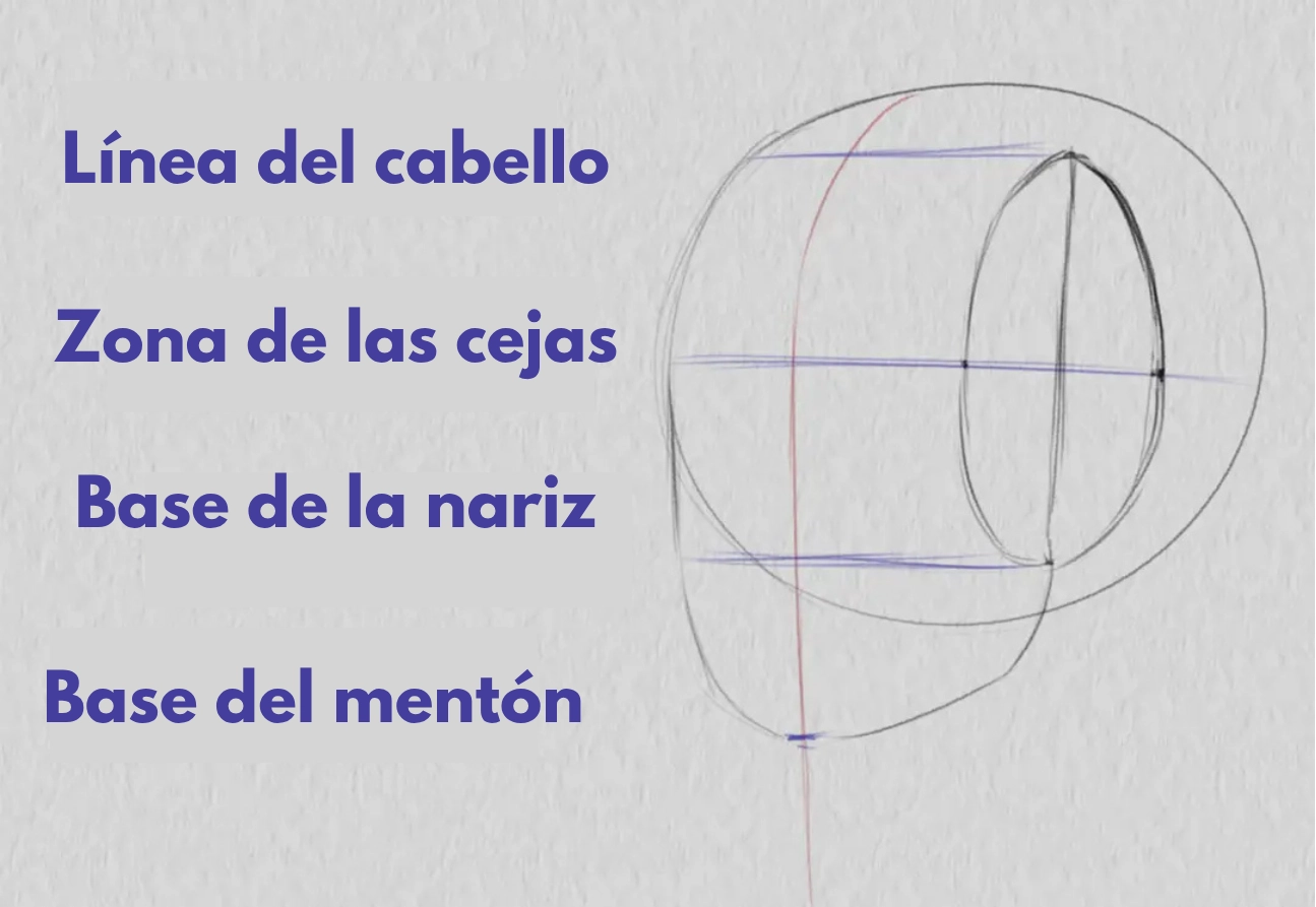 dibujar la base de la barbilla de un rostro de tres cuartos