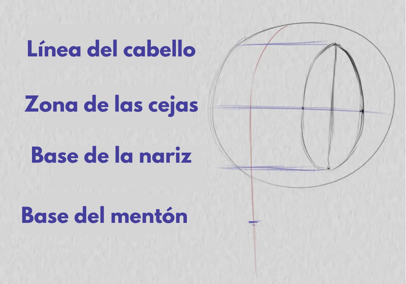 dibujar la base de la nariz de un rostro de tres cuartos