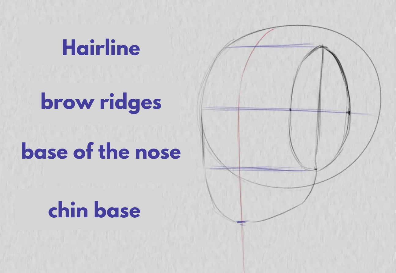 drawing the base of the chin of a three-quarter face
