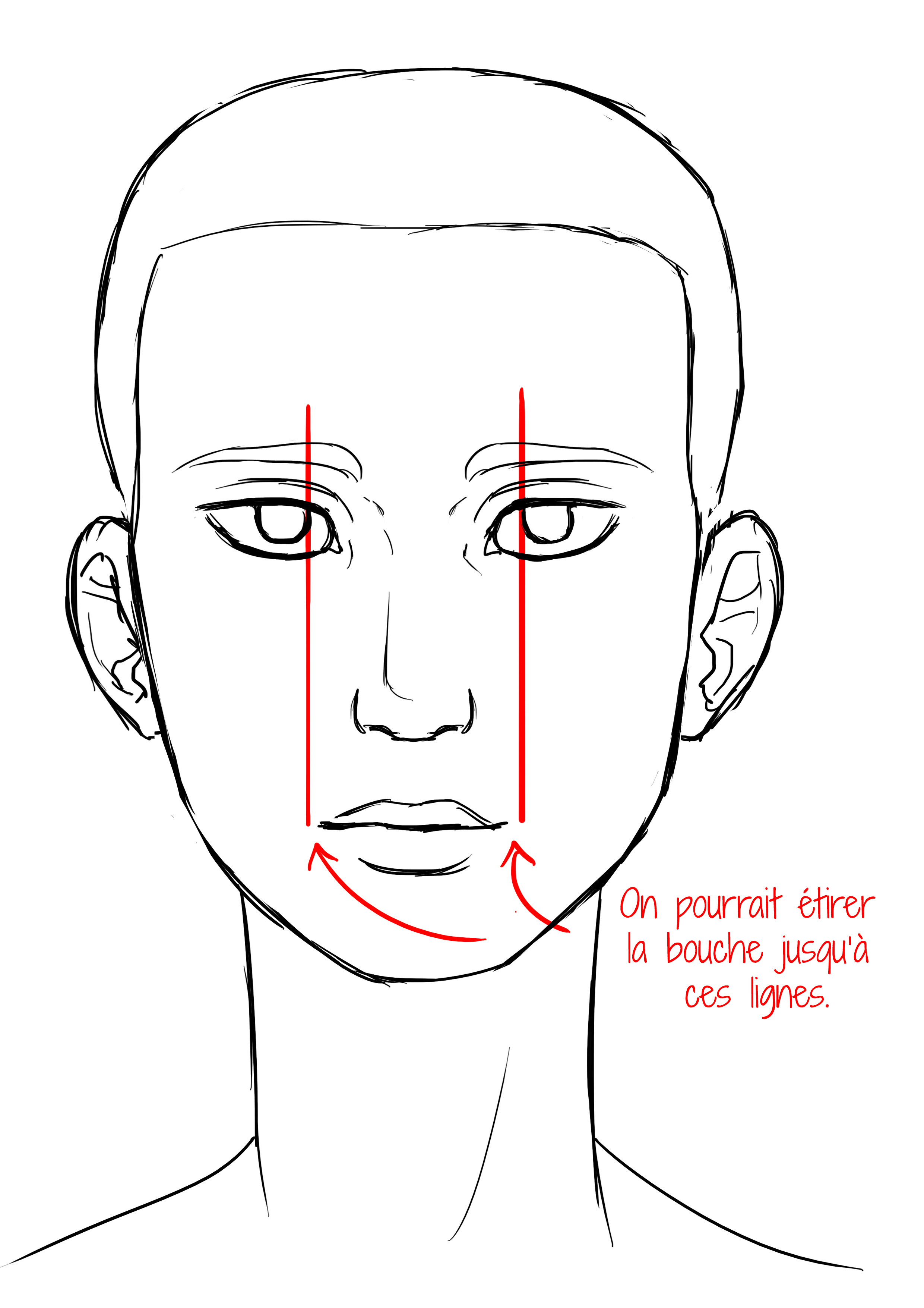 proportions de la bouche pour le visage d’une femme