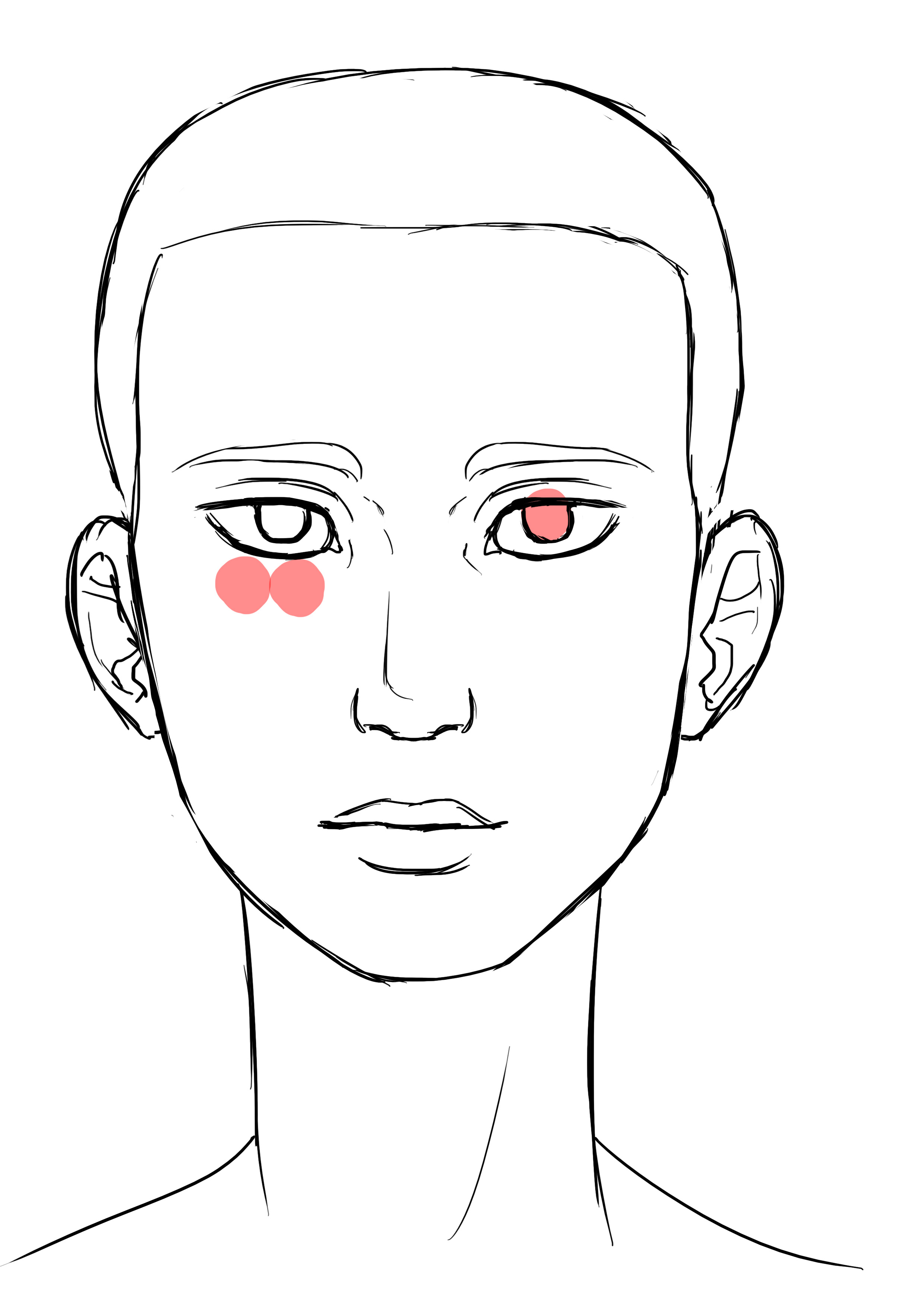 proportions des yeux pour le visage d’une femme 2