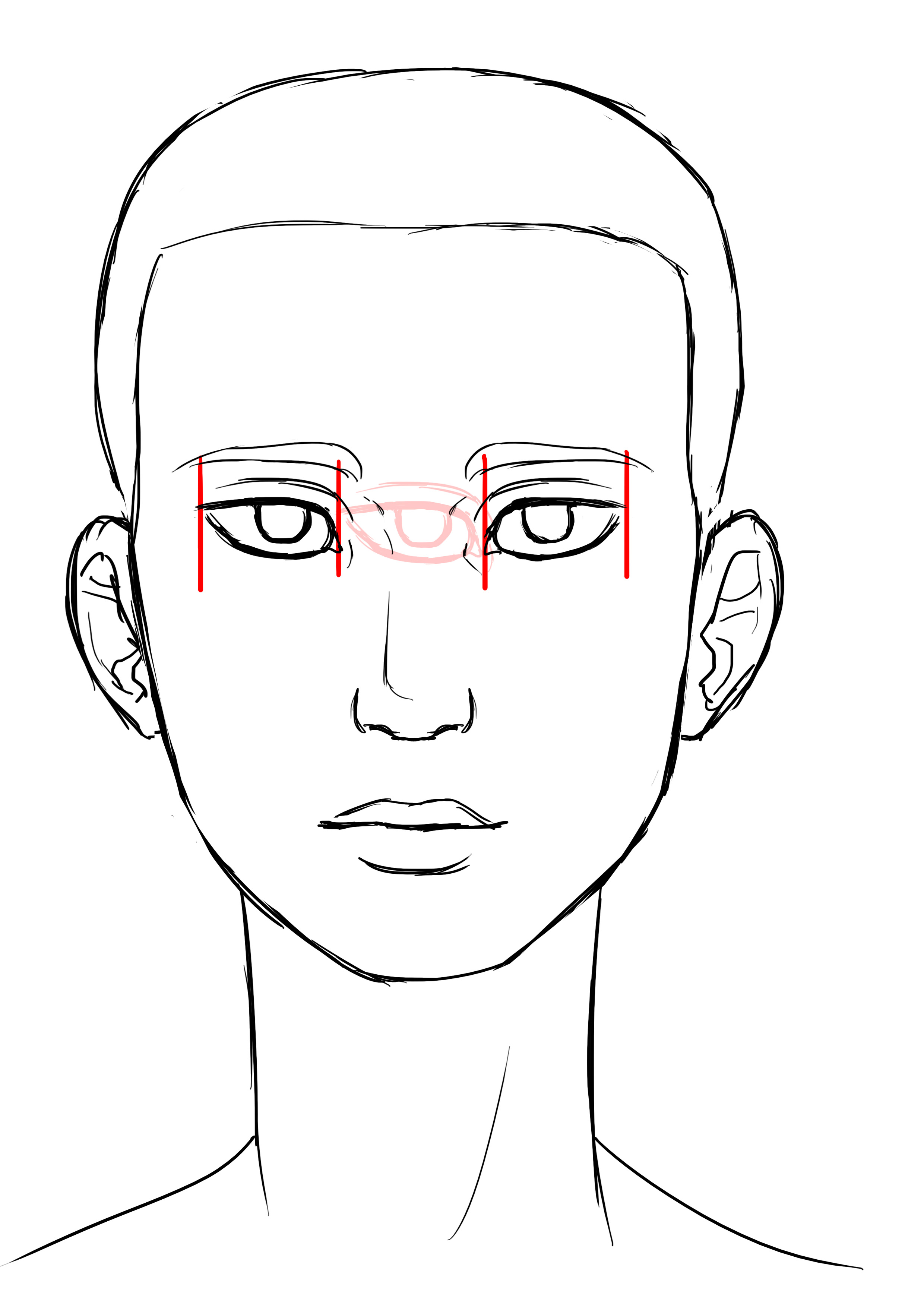 proportions du visage de femme de face