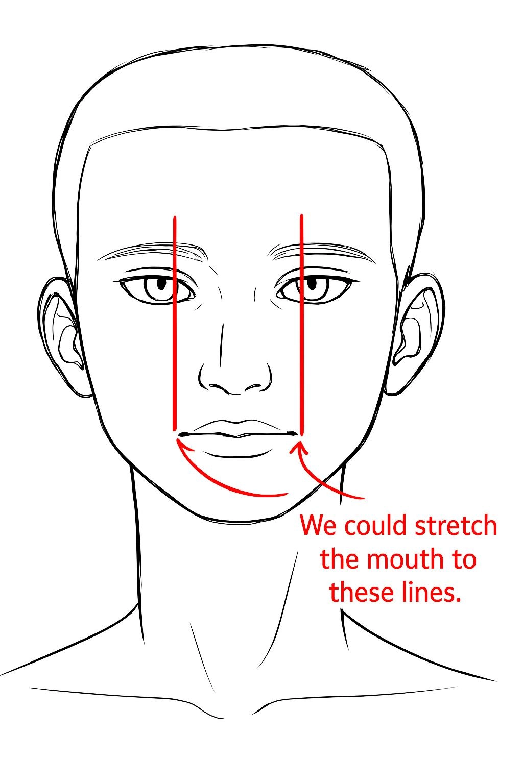 proportions of the mouth for a woman's face