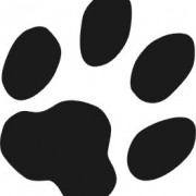 Image Profile PatrickBuche