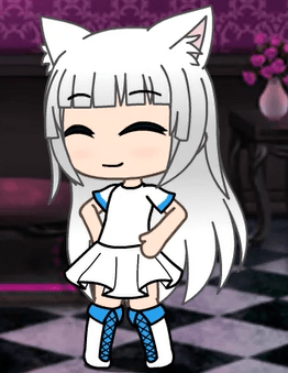 Image Profile lefebvren