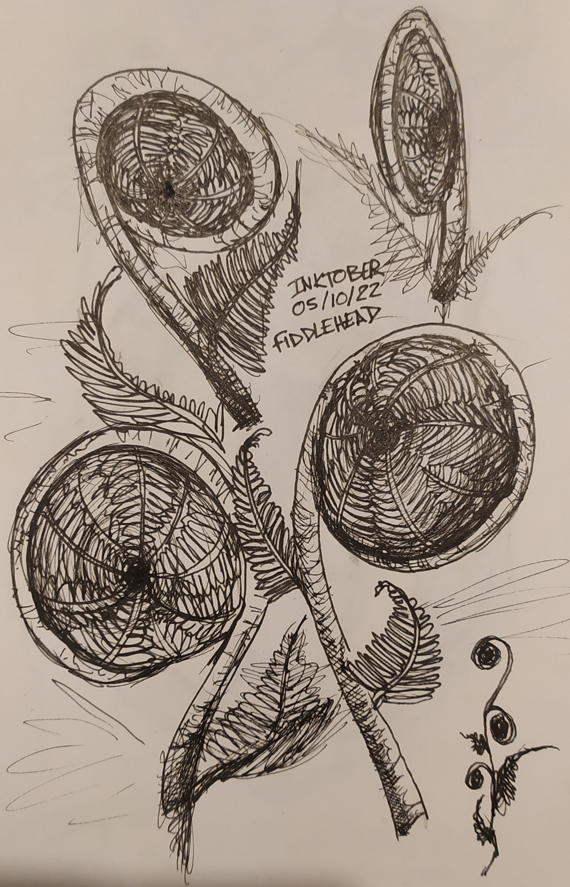 Image Profile Kaapad